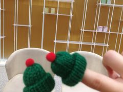 -兰熊鲜奶(西直门凯德mall店)