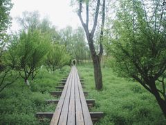 -西溪国家湿地公园