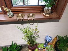 -客天下恐龙水晶玻璃桥