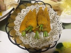 -丁老爷子苏香圆