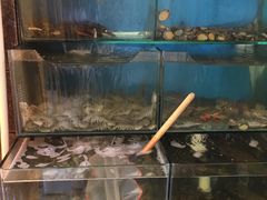 -小郭私房菜·海肠捞饭店(学士街店)