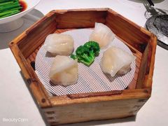 避风塘虾饺皇-避风塘·老港味餐厅(虹口龙之梦店)