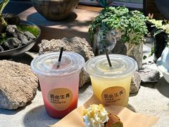 -自由生长植物工作室(深港花卉中心店)