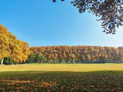 -河南省黄河迎宾馆