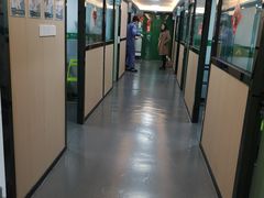 -半岛宠物医院24小时(科华中路店)