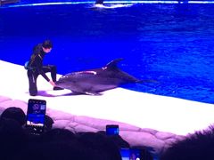 -华夏文旅海洋公园