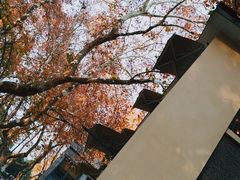 -也枫·小黄楼(南山路旗舰店)
