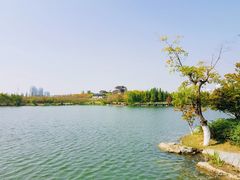 -桃花岛公园
