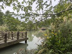 -桤木河湿地公园