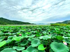 -东钱湖旅游度假区