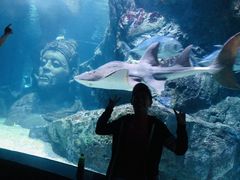 -暹罗海洋世界