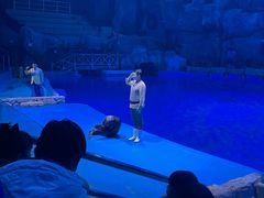 -芜湖新华联大白鲸海洋公园