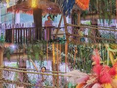 -正佳雨林生态植物园