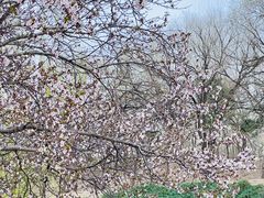 -元大都城垣遗址公园