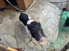 -HERRE·FARM 赫尔露营农场·团建聚会包场