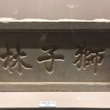 马首回归，圆梦圆明