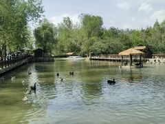 -溱湖国家湿地公园