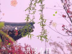-水西公园