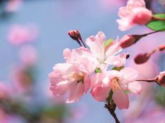 -莫愁湖公园