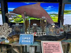 -大亚湾红树林城市湿地公园