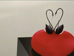-BLACKSWAN黑天鹅(环球店)