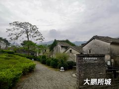 -杨梅坑