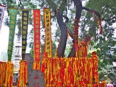 -大槐树寻根祭祖园