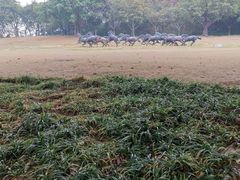 -广州雕塑公园