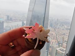 -上海中心大厦