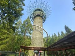 -黄海国家森林公园