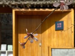 -三里河公园