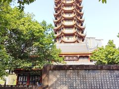 -塔子山公园