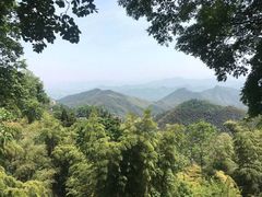 -莫干山风景区
