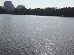 -美兰湖景区