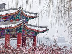 -颐和园