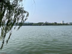 -济南大明湖景区