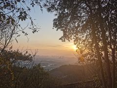 -宁波市保国寺古建筑博物馆