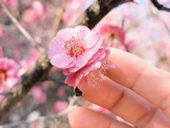 -广富林郊野公园