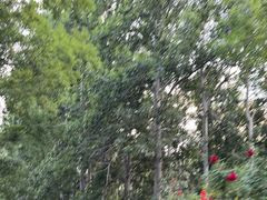 -仁和公园(顺义区)