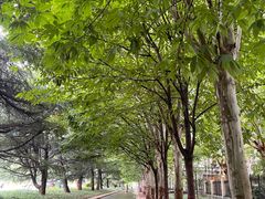 -河北宾馆中茂海悦酒店