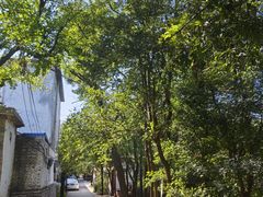 -井塘古村