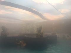 -宜春明月山维景国际温泉度假酒店