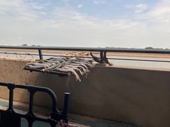 -南沙十九涌渔人码头-南门