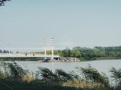 -塘沽森林公园