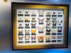 -上海昆虫博物馆