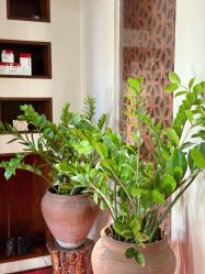 -禾颜社·精致美容