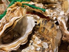 竹篮生蚝-全渔村小海鲜