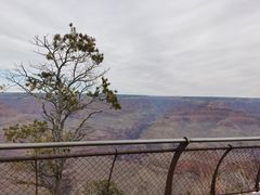 -科罗拉多大峡谷
