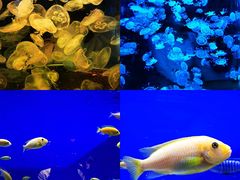 -杭州野生动物世界