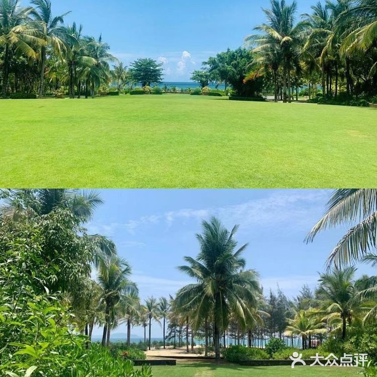 🏖️三亚婚礼场地攻略|天房洲际度假酒店